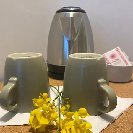 فندق مبيت وإفطار Viesterooms 4*