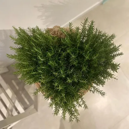 Viesterooms Bed and breakfast