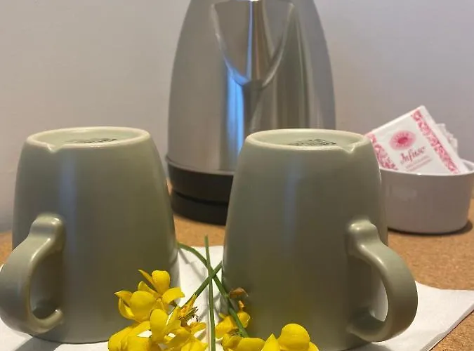 Bed & Breakfast Viesterooms 4*